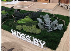 Moss.by