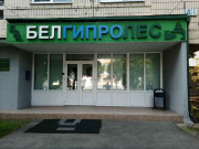 Белгипролес