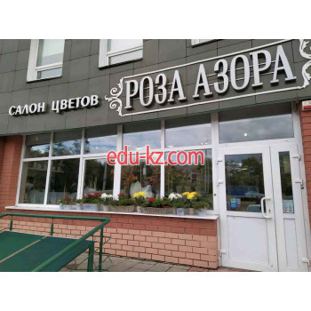 Дизайн интерьеров Роза Азора - на портале stroyby.su